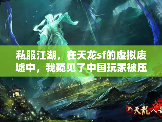 私服江湖，在天龙sf的虚拟废墟中，我窥见了中国玩家被压抑的灵魂