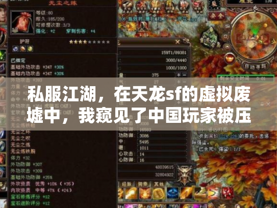 私服江湖，在天龙sf的虚拟废墟中，我窥见了中国玩家被压抑的灵魂