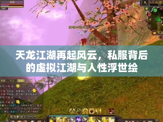 天龙江湖再起风云，私服背后的虚拟江湖与人性浮世绘