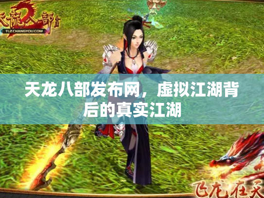 天龙八部发布网，虚拟江湖背后的真实江湖