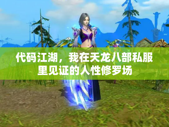 代码江湖，我在天龙八部私服里见证的人性修罗场