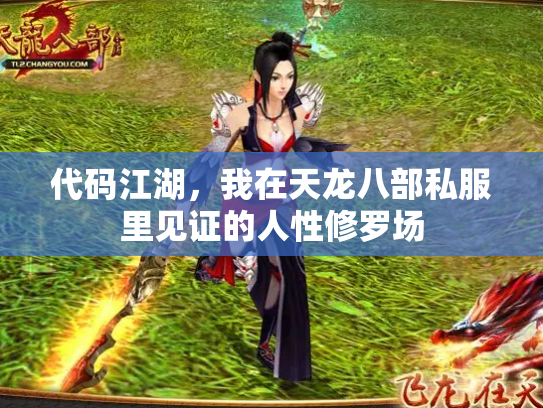 代码江湖，我在天龙八部私服里见证的人性修罗场