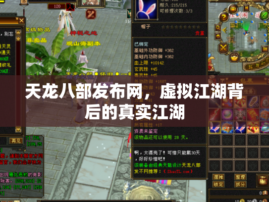天龙八部发布网，虚拟江湖背后的真实江湖