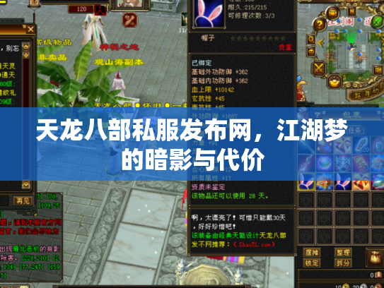 天龙八部私服发布网，江湖梦的暗影与代价