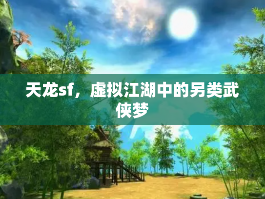 天龙sf，虚拟江湖中的另类武侠梦