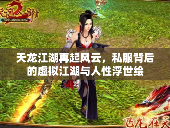 天龙江湖再起风云，私服背后的虚拟江湖与人性浮世绘