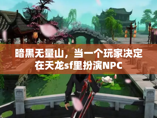 暗黑无量山，当一个玩家决定在天龙sf里扮演NPC