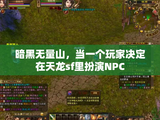 暗黑无量山，当一个玩家决定在天龙sf里扮演NPC
