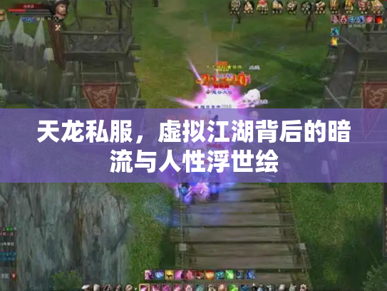 天龙私服，虚拟江湖背后的暗流与人性浮世绘