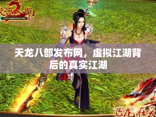 天龙八部发布网，虚拟江湖背后的真实江湖