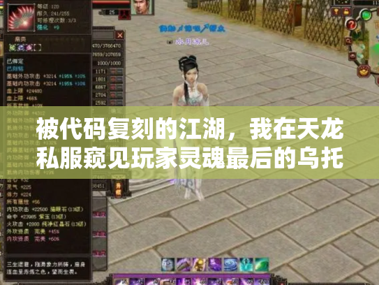 被代码复刻的江湖，我在天龙私服窥见玩家灵魂最后的乌托邦
