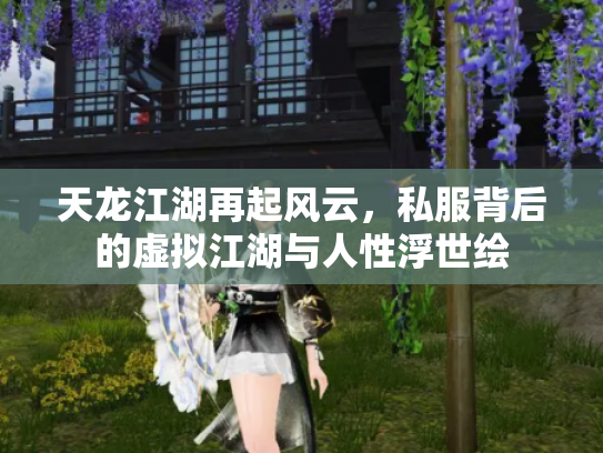 天龙江湖再起风云，私服背后的虚拟江湖与人性浮世绘
