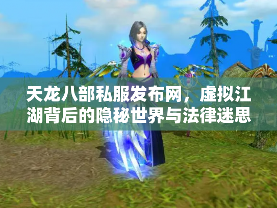 天龙八部私服发布网，虚拟江湖背后的隐秘世界与法律迷思
