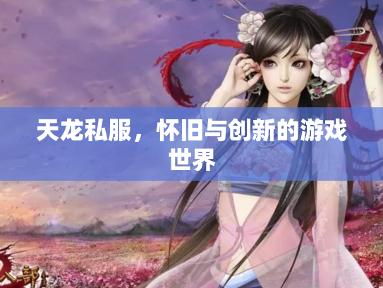 天龙私服，怀旧与创新的游戏世界
