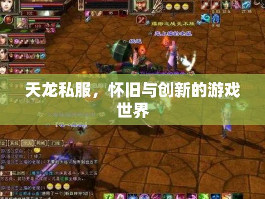 天龙私服，怀旧与创新的游戏世界