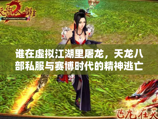 谁在虚拟江湖里屠龙，天龙八部私服与赛博时代的精神逃亡