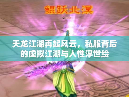 天龙江湖再起风云，私服背后的虚拟江湖与人性浮世绘