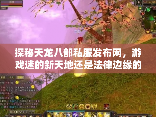 探秘天龙八部私服发布网，游戏迷的新天地还是法律边缘的灰色地带？
