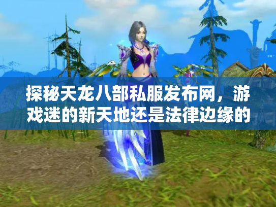 探秘天龙八部私服发布网，游戏迷的新天地还是法律边缘的灰色地带？