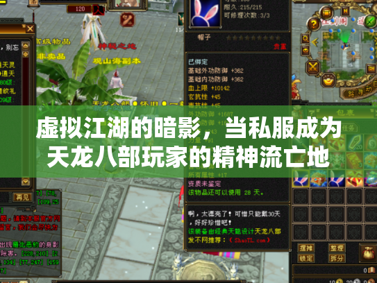虚拟江湖的暗影，当私服成为天龙八部玩家的精神流亡地