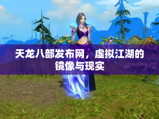 天龙八部发布网，虚拟江湖的镜像与现实