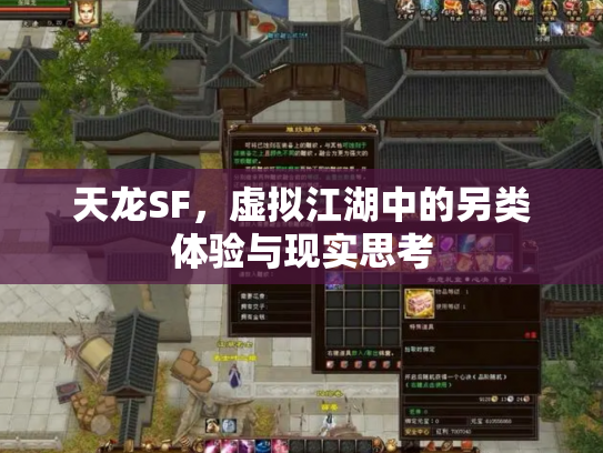 天龙SF，虚拟江湖中的另类体验与现实思考