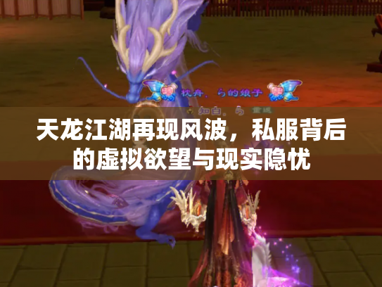 天龙江湖再现风波，私服背后的虚拟欲望与现实隐忧