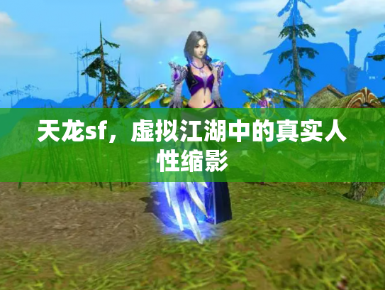 天龙sf，虚拟江湖中的真实人性缩影