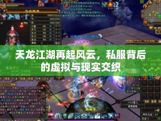 天龙江湖再起风云，私服背后的虚拟与现实交织