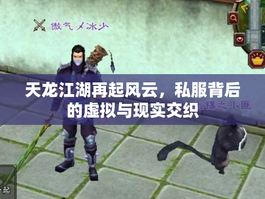 天龙江湖再起风云，私服背后的虚拟与现实交织