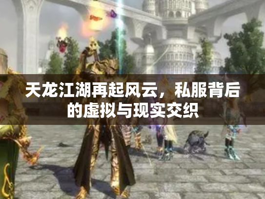 天龙江湖再起风云，私服背后的虚拟与现实交织