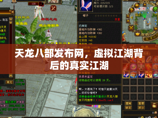 天龙八部发布网，虚拟江湖背后的真实江湖