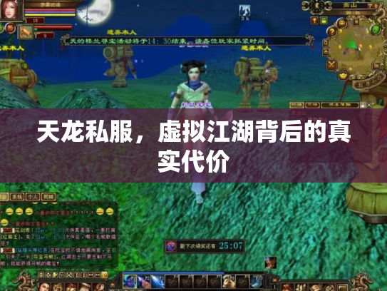 天龙私服，虚拟江湖背后的真实代价