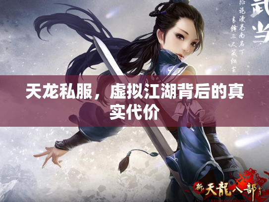 天龙私服，虚拟江湖背后的真实代价