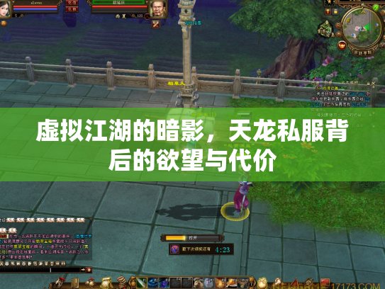 虚拟江湖的暗影，天龙私服背后的欲望与代价