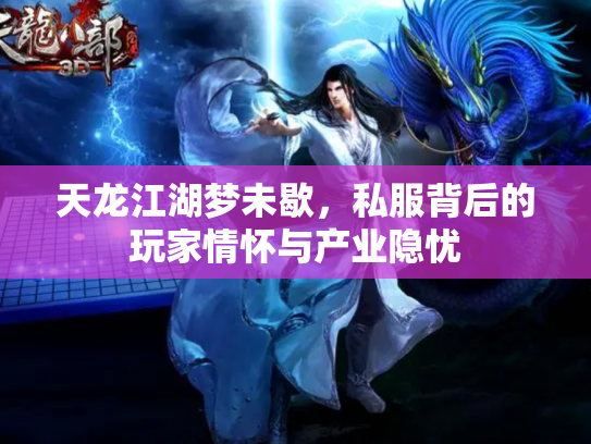 天龙江湖梦未歇，私服背后的玩家情怀与产业隐忧