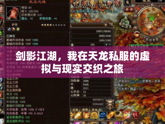 剑影江湖，我在天龙私服的虚拟与现实交织之旅