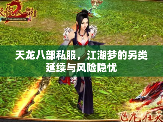 天龙八部私服，江湖梦的另类延续与风险隐忧