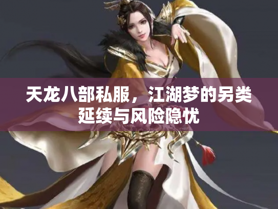 天龙八部私服，江湖梦的另类延续与风险隐忧