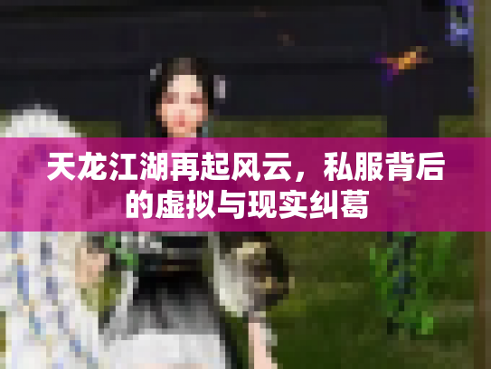 天龙江湖再起风云，私服背后的虚拟与现实纠葛