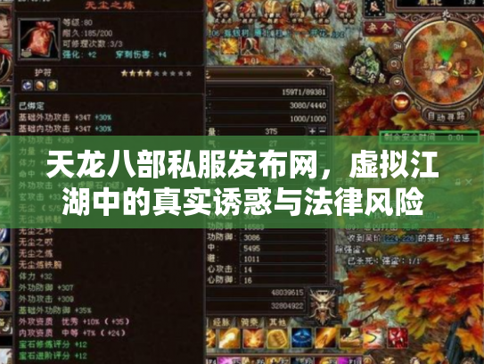 天龙八部私服发布网，虚拟江湖中的真实诱惑与法律风险
