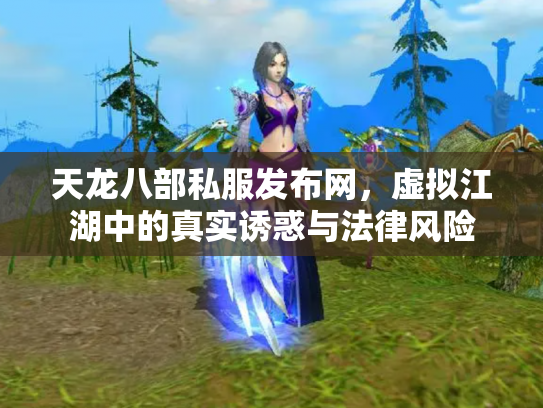 天龙八部私服发布网，虚拟江湖中的真实诱惑与法律风险