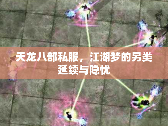 天龙八部私服，江湖梦的另类延续与隐忧
