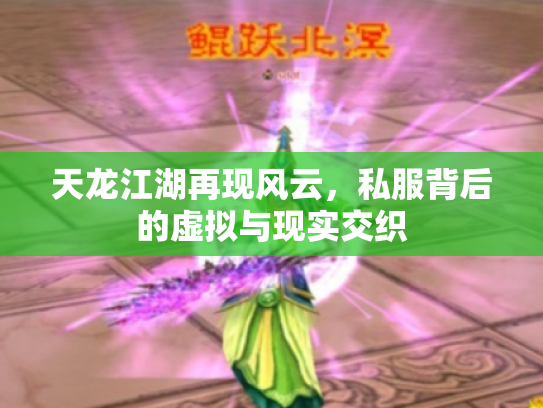 天龙江湖再现风云，私服背后的虚拟与现实交织