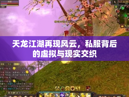 天龙江湖再现风云，私服背后的虚拟与现实交织