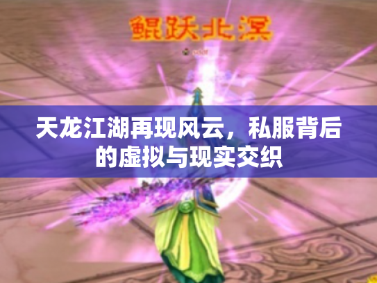 天龙江湖再现风云，私服背后的虚拟与现实交织