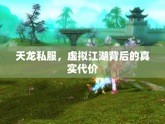 天龙私服，虚拟江湖背后的真实代价