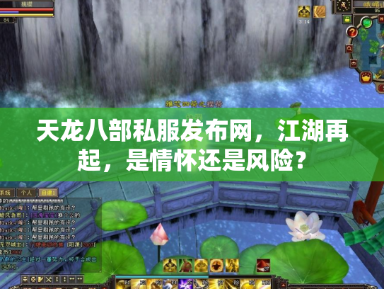 天龙八部私服发布网，江湖再起，是情怀还是风险？