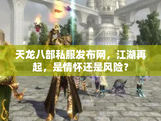 天龙八部私服发布网，江湖再起，是情怀还是风险？