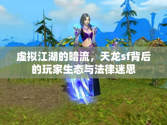 虚拟江湖的暗流，天龙sf背后的玩家生态与法律迷思